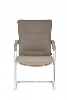 Кресло для посетителя Теодор.D40