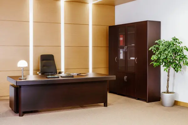 Кабинет руководителя Forte. Фото 1