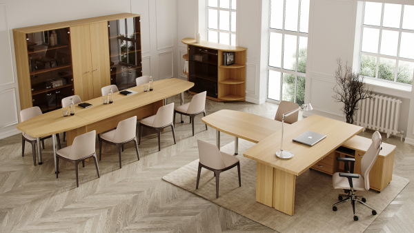 Кабинет руководителя Интеллекта. Фото 6