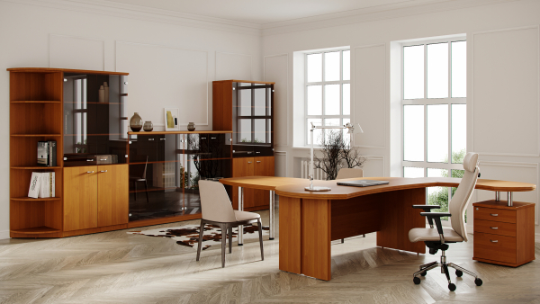 Кабинет руководителя Интеллекта. Фото 8