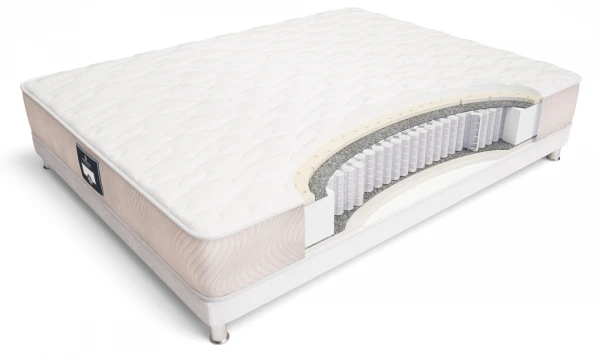 Матрас ECOLOGIC DREAM MAXI 180x200. Фото 1