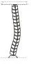 Модуль правый F5107. Фото 1
