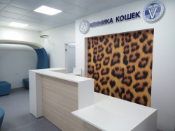 «Клиника кошек» г. Москва. Фото 3