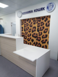 «Клиника кошек» г. Москва. Фото 4