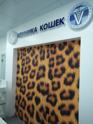 «Клиника кошек» г. Москва. Фото 6