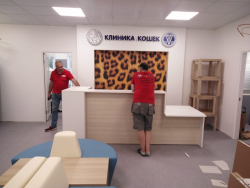 «Клиника кошек» г. Москва. Фото 7