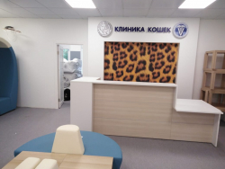 «Клиника кошек» г. Москва. Фото 8