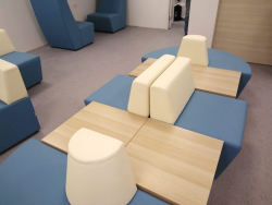 «Клиника кошек» г. Москва. Фото 9